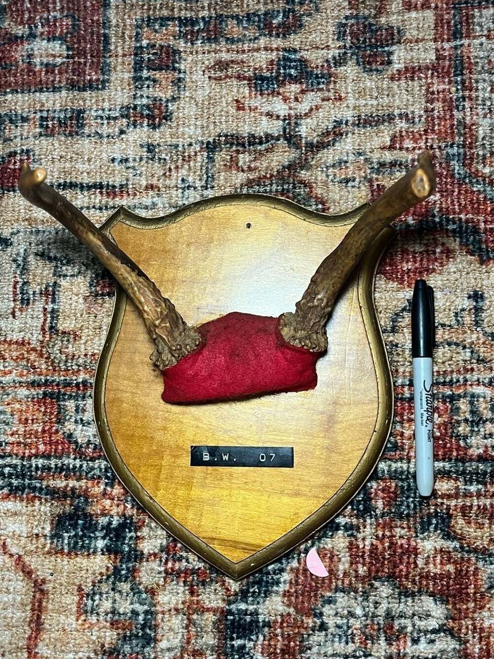 Vintage European Style Deer Antler Plaque Mount B.W. 07